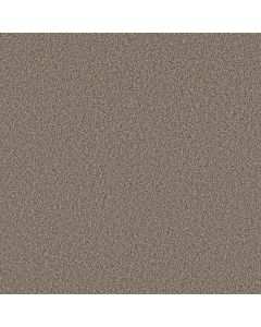 Shaw ARTISTIC FUSION II Sea Shell Carpet - SH-5E575-00100