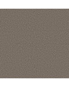 Shaw ARTISTIC FUSION II Cashmere Carpet - SH-5E575-00104