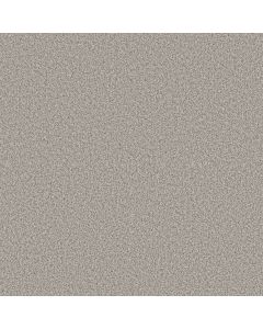Shaw ARTISTIC FUSION II Frozen Carpet - SH-5E575-00107