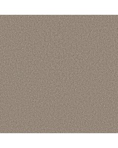 Shaw ARTISTIC FUSION II Soft Sense Carpet - SH-5E575-00112