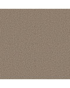 Shaw ARTISTIC FUSION II Cameo Carpet - SH-5E575-00113