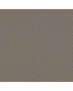 Shaw ARTISTIC FUSION II Warm Light Carpet - SH-5E575-00116