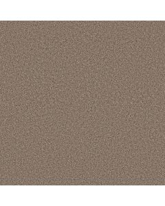 Shaw ARTISTIC FUSION II Moonwalk Carpet - SH-5E575-00118