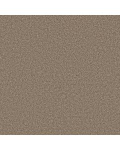 Shaw ARTISTIC FUSION II Honeycomb Carpet - SH-5E575-00207