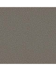 Shaw ARTISTIC FUSION II Ashes Carpet - SH-5E575-00501