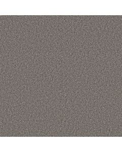 Shaw ARTISTIC FUSION II Shadow Carpet - SH-5E575-00502