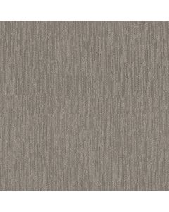 Shaw NATURE'S MARK River Birch Carpet - SH-5E576-00106