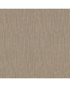 Shaw NATURE'S MARK Cameo Carpet - SH-5E576-00113