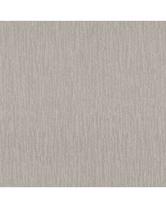Shaw NATURE'S MARK Rock Crystal Carpet - SH-5E576-00508