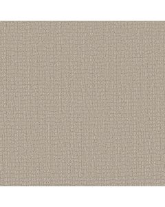 Shaw PATH HOME Almond Silk Carpet - SH-5E577-00101