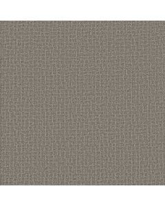 Shaw PATH HOME River Birch Carpet - SH-5E577-00106