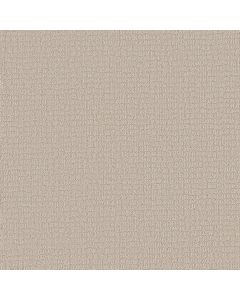 Shaw PATH HOME Natural Carpet - SH-5E577-00109