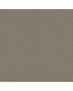 Shaw PATH HOME Chic Greige Carpet - SH-5E577-00111