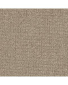 Shaw PATH HOME Cameo Carpet - SH-5E577-00113