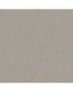 Shaw PATH HOME Sculpture Carpet - SH-5E577-00115