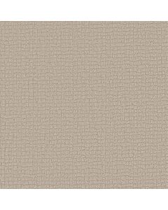 Shaw PATH HOME Warm Light Carpet - SH-5E577-00116