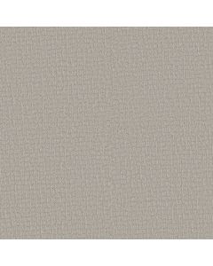 Shaw PATH HOME Rock Crystal Carpet - SH-5E577-00508