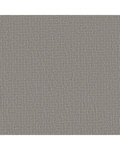 Shaw PATH HOME Vintage Carpet - SH-5E577-00509