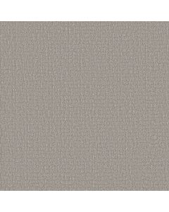 Shaw PATH HOME Gravity Carpet - SH-5E577-00556