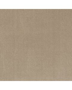 Shaw SIMPLY CLASSIC Sea Shell Carpet - SH-5E578-00100