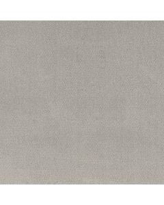 Shaw SIMPLY CLASSIC Frozen Carpet - SH-5E578-00107