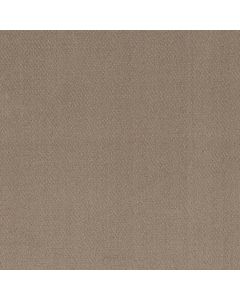 Shaw SIMPLY CLASSIC Cameo Carpet - SH-5E578-00113