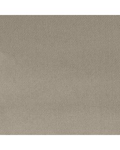 Shaw SIMPLY CLASSIC Sculpture Carpet - SH-5E578-00115