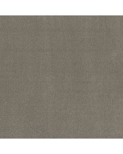 Shaw SIMPLY CLASSIC Ashes Carpet - SH-5E578-00501