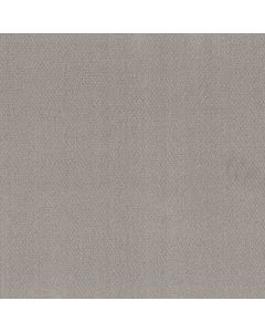 Shaw SIMPLY CLASSIC Gravity Carpet - SH-5E578-00556