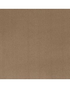 Shaw SIMPLY CLASSIC Worn Path Carpet - SH-5E578-00700