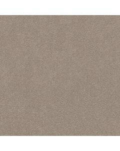Shaw HARD AT PLAY I 15' Glacier Carpet - SH-5E580-00110