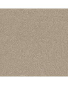Shaw HARD AT PLAY I 15' Subtle Clay Carpet - SH-5E580-00114