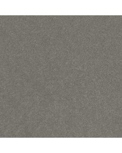 Shaw HARD AT PLAY I 15' Shy Sage Carpet - SH-5E580-00352