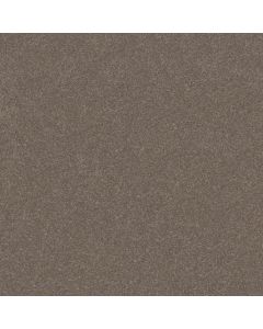 Shaw HARD AT PLAY I 15' Cobblestone Carpet - SH-5E580-00750