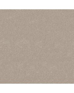 Shaw HARD AT PLAY II 15' Soft Sense Carpet - SH-5E581-00112