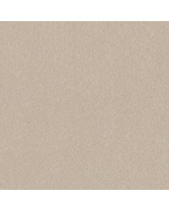 Shaw HARD AT PLAY II 15' Warm Light Carpet - SH-5E581-00116