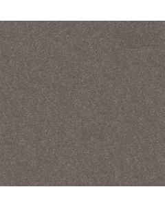 Shaw HARD AT PLAY II 15' Ashes Carpet - SH-5E581-00501