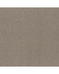 Shaw HARD AT PLAY III 15' Chic Greige Carpet - SH-5E582-00111