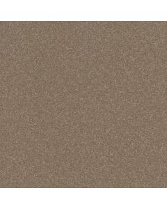 Shaw HARD AT PLAY III 15' Cameo Carpet - SH-5E582-00113