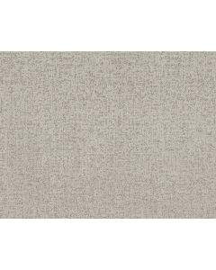Shaw HOME WITHIN Frozen Carpet - SH-5E583-00107