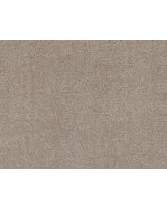 Shaw HOME WITHIN Chic Greige Carpet - SH-5E583-00111