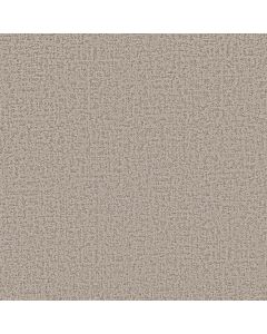 Shaw HOME WITHIN Soft Sense Carpet - SH-5E583-00112