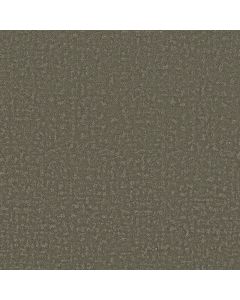 Shaw HOME WITHIN Rerooted Nature Carpet - SH-5E583-00300