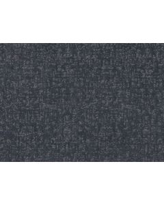 Shaw HOME WITHIN Refined Carpet - SH-5E583-00402
