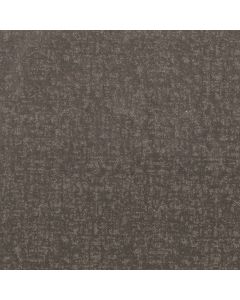Shaw HOME WITHIN Ashes Carpet - SH-5E583-00501