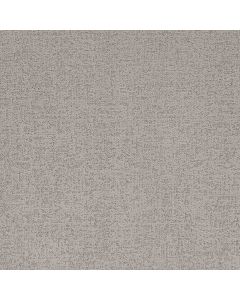 Shaw HOME WITHIN Rock Crystal Carpet - SH-5E583-00508