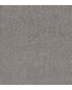 Shaw HOME WITHIN Vintage Carpet - SH-5E583-00509