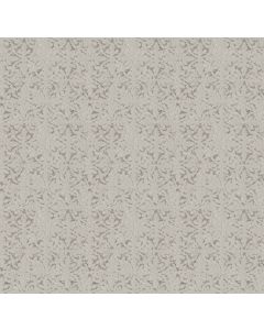 Shaw LIGHT IMPRESSIONS Frozen Carpet - SH-5E584-00107