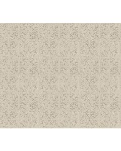 Shaw LIGHT IMPRESSIONS Natural Carpet - SH-5E584-00109