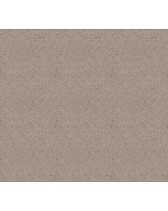 Shaw LIGHT IMPRESSIONS Chic Greige Carpet - SH-5E584-00111